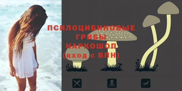 СК Слюдянка