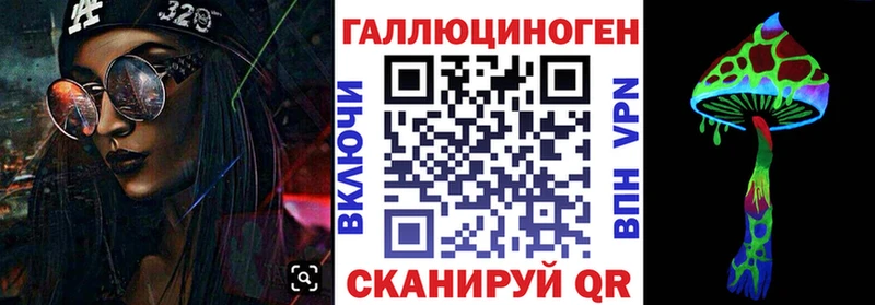 блэк спрут tor  Вяземский  Галлюциногенные грибы мицелий 